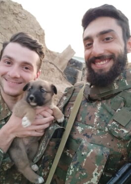 Սարգիս Ավետիսյան